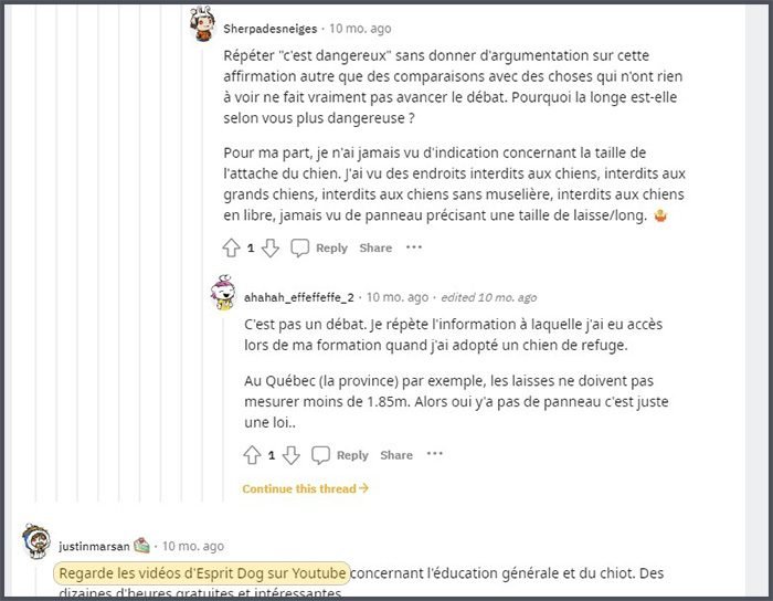 Capture d'écran d'une discussion sur Reddit