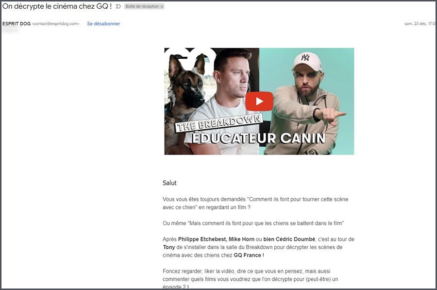 Capture d'écran d'une newsletter qui inclut une vidéo YouTube